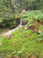 Source