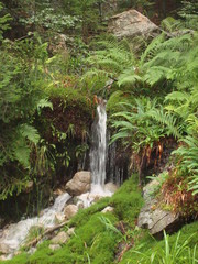 Source