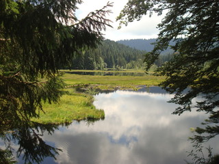 Lac des Vosges