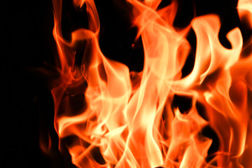 Fire flames on black background
