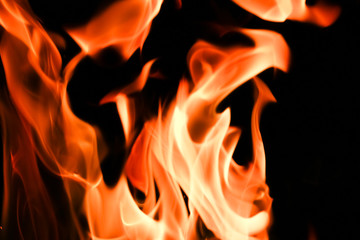 Fire flames on black background