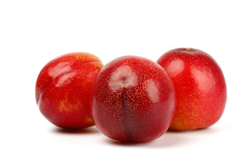Fresh Chile red plum isolated on white background.