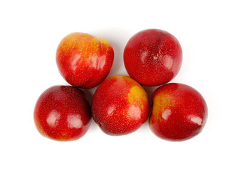 Fresh Chile red plum isolated on white background.