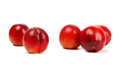 Fresh Chile red plum isolated on white background.