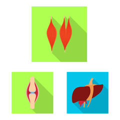 Vector design of human and health icon. Collection of human and scientific stock symbol for web.