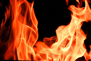 Fototapeta premium Fire flames on black background