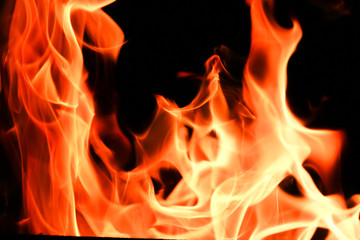 Fototapeta premium Fire flames on black background