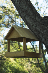 Tree big birdhouse. Preparing for the winter. The place where bird feed is put in