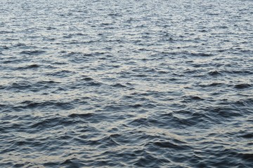 Natural river water background in Florida nature