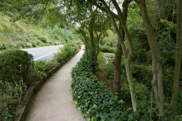 Japanesse landscapes and trational tourism