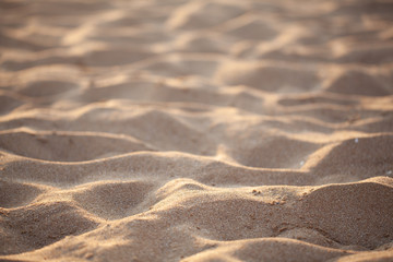 sand background and sunset. textured
