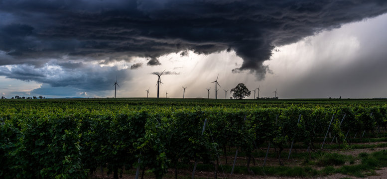 Aufziehendes Gewitter schwarze Wolke &uuml;ber einem Baum im Feld mit Windr&auml;dern
