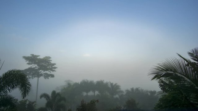 Timelapse Natural phenomena. Fogbow or White rainbow occurs above the  mist.