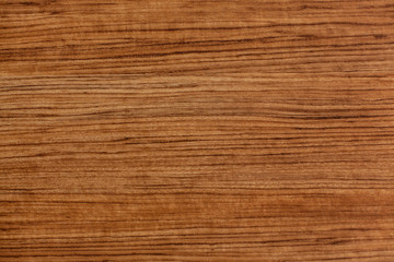 wood texture. background of boards