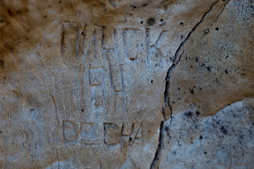 Russian inscription on old oak
