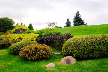Landscape. Hills with green lawn and ornamental shrubs and trees. Beautiful garden
