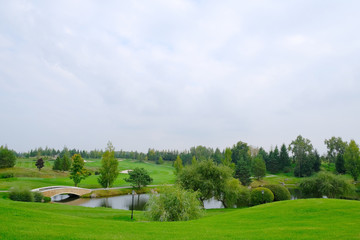 Landscape. Hills with green lawn and ornamental shrubs and trees lake and bridge. Beautiful garden
