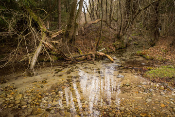 River Bela, High Tatras Slovakia