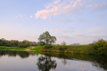Summer landscape. The riverbank on a summer evening.