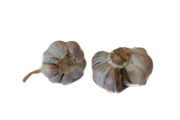 garlic isolated on white background