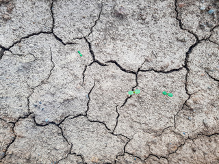 dry cracked earth