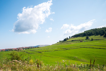 Landscape from countryside in summer sunny day