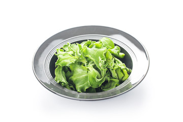 a plate of fresh Ice grass salad，