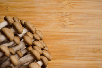 fresh brown shimeji mushroom, beech mushroom or edible mushroom on dark background