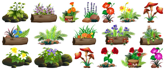 Large set of colorful flowers on rocks and wood © GraphicsRF