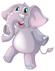 Gray elephant standing on white background