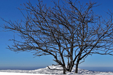 Autrans en France sous la neige