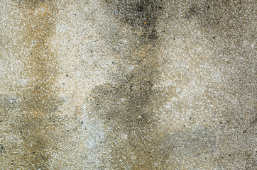 mildewed wall background