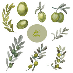 Watercolor set of olive branches with green fruits, illustration olives are hand-drawn with watercolor paints and perfect for all types of design