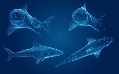 Fototapeta premium 3d vector set. ocean protection. great white shark.