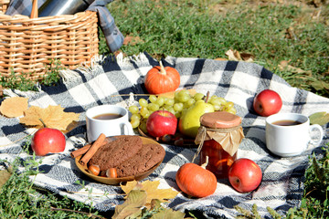 Autumn picnic in the park with fruit, cookies, jam and tea Picnic basket and blanket. Autumn holiday