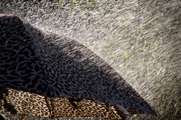 Umbrella in the british summer rain