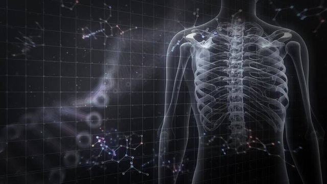 Human Body Skeleton Medical DNA Science Technology image background