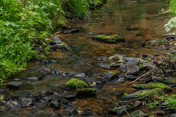 Fototapeta na wymiar Mala Libava creek in summer sunny day in Slavkovsky Les mountains