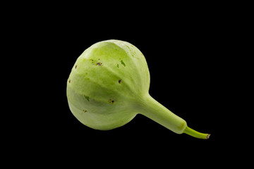 Bottle Gourd or Calabash Gourd on white background