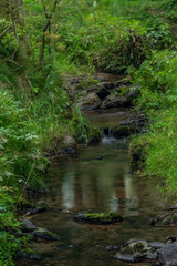 Mala Libava creek in summer sunny day in Slavkovsky Les mountains