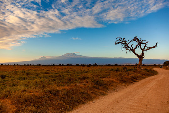 Kilimanjaro, Kenya, sunrise at the safari