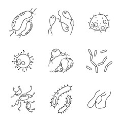 Bacteria and germs set, microorganisms disease causing objects. Illness bacilli, microbes, viruses and microorganisms outline vector icons.