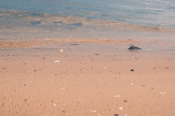 Sea beach in the tropics and the soft wave of the blue ocean. Summer gloomy day and sandy beach with stones background. The concept of summer vacation.