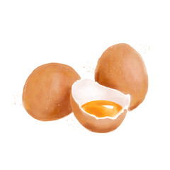 illustrazione digitale di uova in stile acquarello, isolata su sfondo bianco