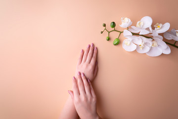 Fashion, female hands with manicure, nail care, white orchid flowers, concept of healthy skin and natural cosmetics. Top view contrasting against a powdery background.
