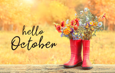 Hello October. bouquet of bright autumn flowers in rubber boots. autumn season background. garden flowers in red rubber boots on meadow. harvesting concept. rustic fall composition