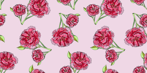 seamless pattern with carnation flowers in pink background