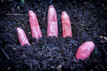 hand of murdered woman buried under the ground