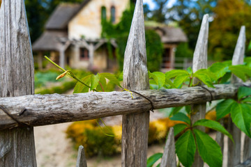 A wooden fence in front of a traditional house