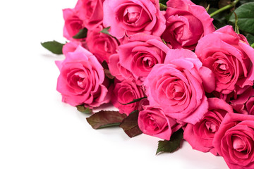 Beautiful rose flowers bunch isolated on white background